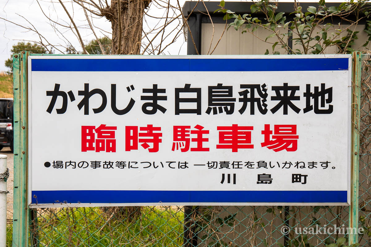 かわじま白鳥飛来地の駐車場情報 うさログ