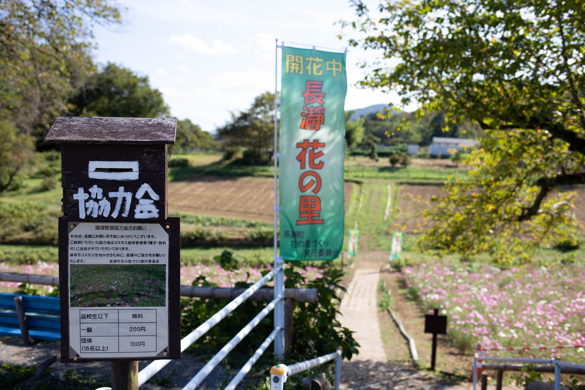 長瀞花の里 埼玉県秩父郡長瀞町 うさログ